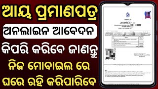 How to apply for an income certificate in odisha  Income certificate apply odisha 2024 [upl. by Bruckner474]