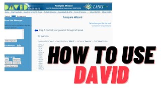 David for GO Enrichment Analysis  SALMAN AKBAR [upl. by Lerud]