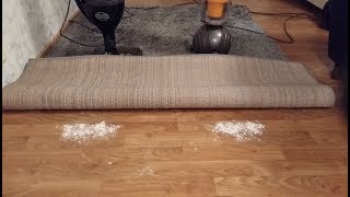 Flour Under The Carpet Test Dyson DC40 vs Sebo Felix [upl. by Remlap478]