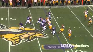 Ultimate Cordarrelle Patterson Highlights  HD [upl. by Soulier916]