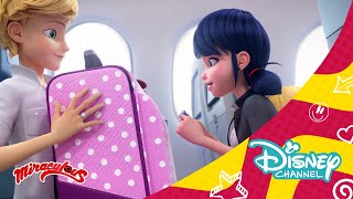 Las aventuras de Ladybug en Nueva York Avance exclusivo  Disney Channel Oficial [upl. by Roxie]