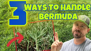 My Top 3 Methods For Handling Bermuda In A Cool Season Lawn [upl. by Nnaylime254]