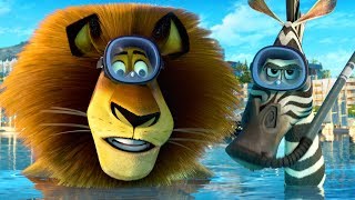 DreamWorks Madagascar  Alex and Marty Best Friends  Madagascar Funny Scenes  Kids Movies [upl. by Nidnarb136]