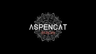 ASPENCAT  Fent equilibris [upl. by Hamforrd]