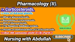 Corticosteroids explanation in urdu hindi  Bsn 4th semester Unit 1BPart 1 Pharmacology II [upl. by Annoyt]