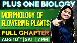 Plus One Biology  Chapter 5  Morphology of Flowering Plants  Oneshot  Exam Winner Plus One [upl. by Karoly]