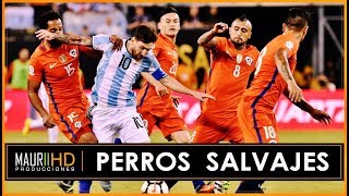 Selección Chilena  Perros Salvajes  2015  2016 Recuerdos Inolvidables [upl. by Joselyn342]