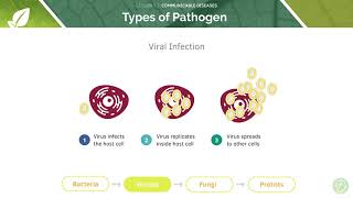 AQA GCSE Biology Communicable Infectious Diseases [upl. by Ferdy543]