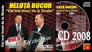 NELUTA BUCUR  Cei trei brazi de la Sinaia oficial audio [upl. by Sukram649]