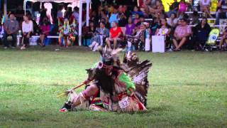 Oklahoma Indian Nations Powwow 2014 [upl. by Delcina96]