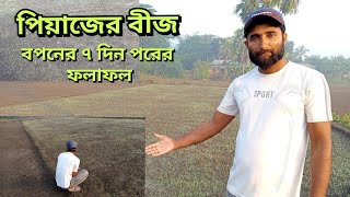 পিয়াজের বীজ বপনের ৭দিন পরের ফলাফলVillage Agro [upl. by Svirad]