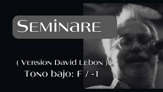 Seminare  Versión David Lebon Karaoke Tono bajo F  1 [upl. by Mccoy]