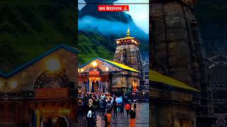 Jai Kedarnath Mahadev status video 🙏  shorts mahadev youtubeshorts mahadevstatus [upl. by Matthieu146]