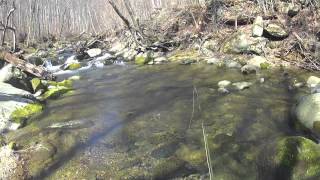 Fly Fishing Virgina Brook Trout [upl. by Lopez878]