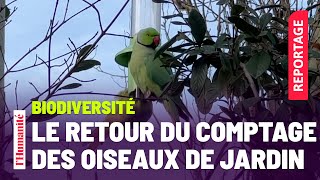 Le comptage des oiseaux de jardin de retour pour son édition 2024 [upl. by Alard]