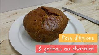 PAIN DÉPICES amp GÂTEAU AU CHOCOLAT SANS FOUR cuisson vapeur au ptit robinson [upl. by Enomrej]