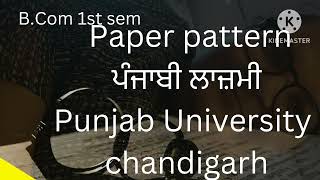 paper pattern Punjabi bcom 1st sem [upl. by Juieta]