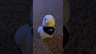 Aflac duck plush talking [upl. by Barthol]