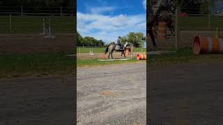 Raw from Sunday horse equestrianjumping Simon equestrian [upl. by Zulema]