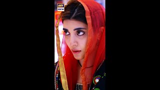 Tum Ho Zarrar Ka Zarori Kaam Amanat Shorts [upl. by Gris848]