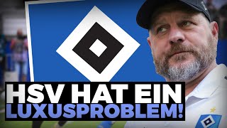 HSV hat ein LUXUSPROBLEM UNGLAUBLICH [upl. by Medarda]