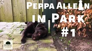 Peppa allein im Park [upl. by Shulins]