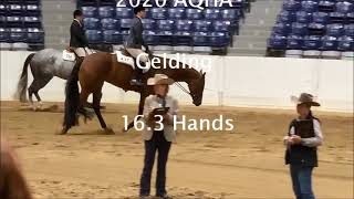 2020 AQHA HUS by AYA [upl. by Cathe]