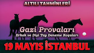 19 Mayıs İstanbul At Yarışı  2Altılı Tahminleri tjk zaferyolu Gazi Provaları Tay Deneme Koşuları [upl. by Devi147]