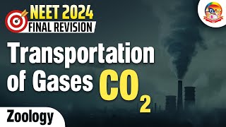 Transport of Gases CO2  NEET Zoology  NEET2024FinalRevision srichaitanyagosala [upl. by Juliane]