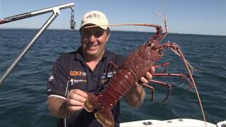 WA Cray Fish All the tips and tricks Fishing Western Australia Series 14 Ep 12 Full Show [upl. by Airtap591]