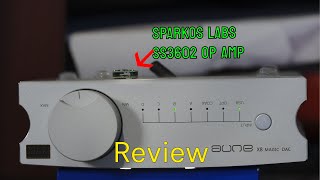 DO op amps make a differance aune x8 magic dac review [upl. by Ladnar]