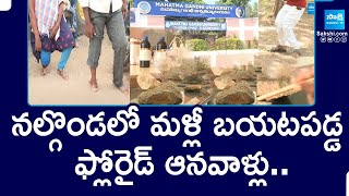 తగ్గని ఫ్లోరైడ్  Sakshi Special Ground Report On Nalgonda Floride Water Problems  SakshiTV [upl. by Cassandre]