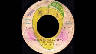 Delano Stewart  Build Our Country  Version MANGO 7quot [upl. by Sterner]