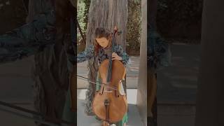 Albinoni Adagio in G minor  cello [upl. by Narton]