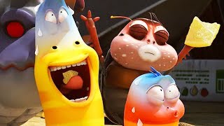 LARVA  LEMON SLICE  Cartoon Movie  Cartoons  Comics  Larva Cartoon  LARVA Official [upl. by Dnamron]