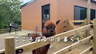 48 小さな動物園で癒やされる休日ごかつら池どうぶつパーク自然味処すまいるチヌの天ぷら蕎麦田舎暮らし [upl. by Tihw]