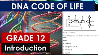 INTRODUCTION TO DNA CODE OF LIFE  GRADE 12 LIFE SCIENCES BY MSAIDI THUNDEREDUC [upl. by Ruiz]