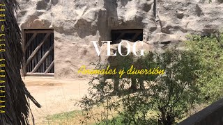 Vlog del zoológico de GUADALAJARA [upl. by Yelreveb]