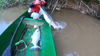 Parece que mamá nos trae mucha suerte  pesca y cocina de bagres con mamá [upl. by Fidela478]