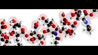 Stereochemistry w Model Kits  Arrangement of Atoms in 3D Space [upl. by Annahvas68]