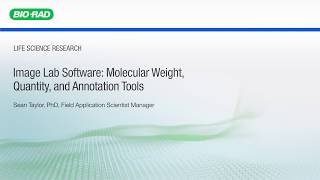 Image Lab Software Molecular Weight Quantity and Annotation Tools [upl. by Ahsenik]