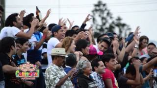 CARNAVAL VERACRUZ 2015 1ER GRAN DESFILE Y MASIVO ALBERTO BARROS [upl. by Allebara]