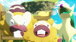 Bidoof Speaks With Bibarel Over The Fence Pokemon Legends Arceus [upl. by Gerson252]