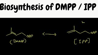 DMPP  IPP Biosynthesis mechanism [upl. by Anirdnaxela]