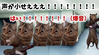 世紀末みなたいな寮で１年間暮らした話【猫ミーム】 [upl. by Aimee]