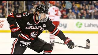 Adam Gaudette  201718 Highlights [upl. by Bibeau]