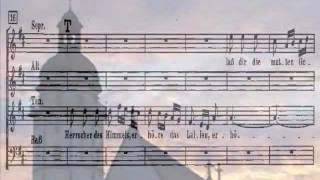 BachBassNo24 BWV248Herrscher Des Himmelswmv [upl. by Tenahs]