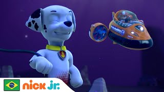 Patrulha Canina  MerPup Ajuda a Patrulha Canina num Resgate  Nick Jr em Português [upl. by Rfinnej]