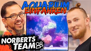 SO FAHRT IHR EUER MEERWASSERAQUARIUM RICHTIG EIN  NORBERTS TEAM  Zoo Zajac [upl. by Ress621]