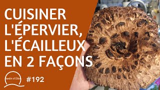 192Cuisiner lépervier ou lécailleux en 2 façons Sarcodon imbricatus [upl. by Nudd]